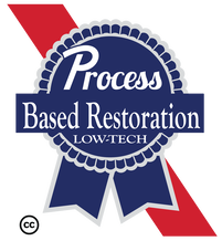 Process-based restoration